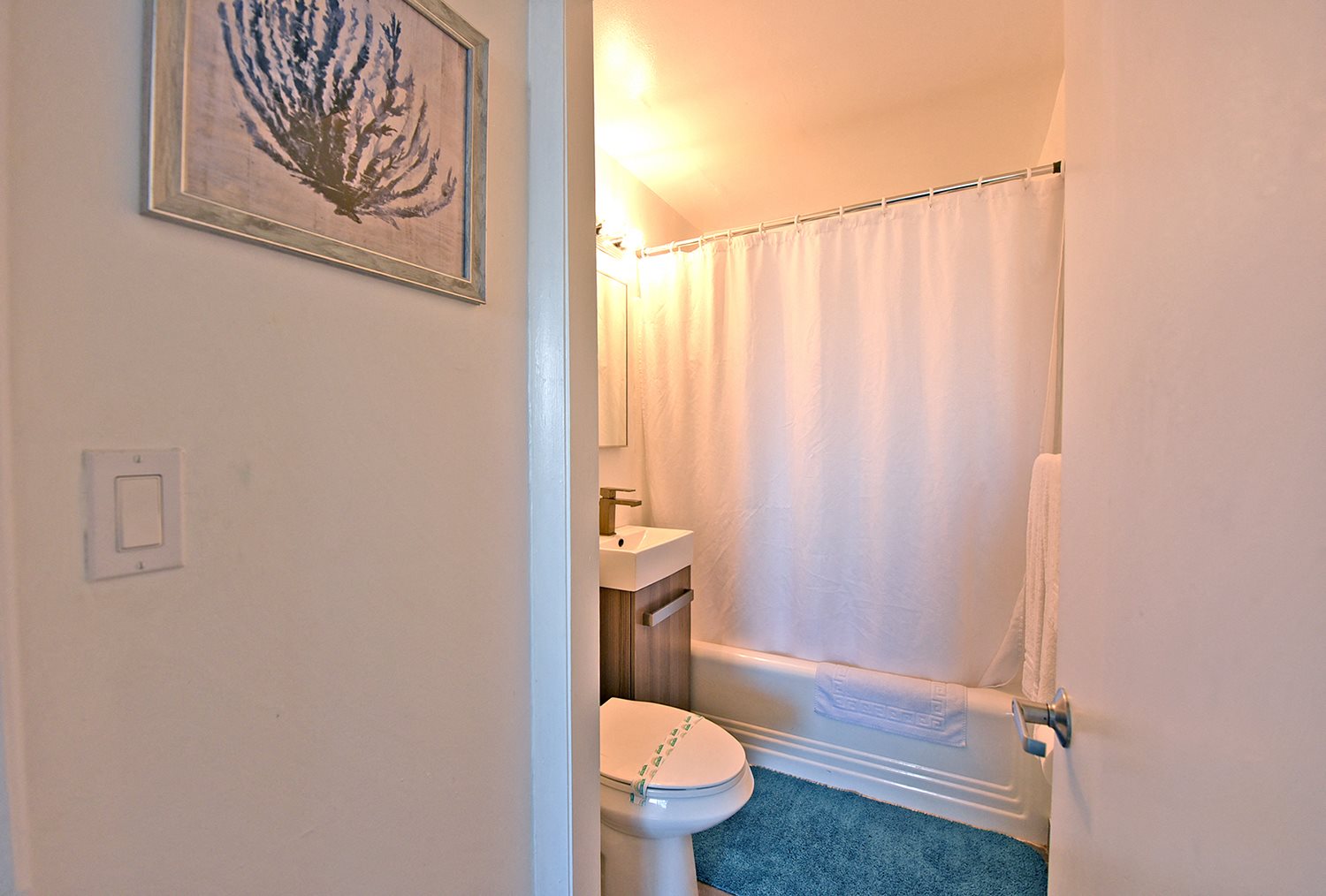 Gallery Photo 19